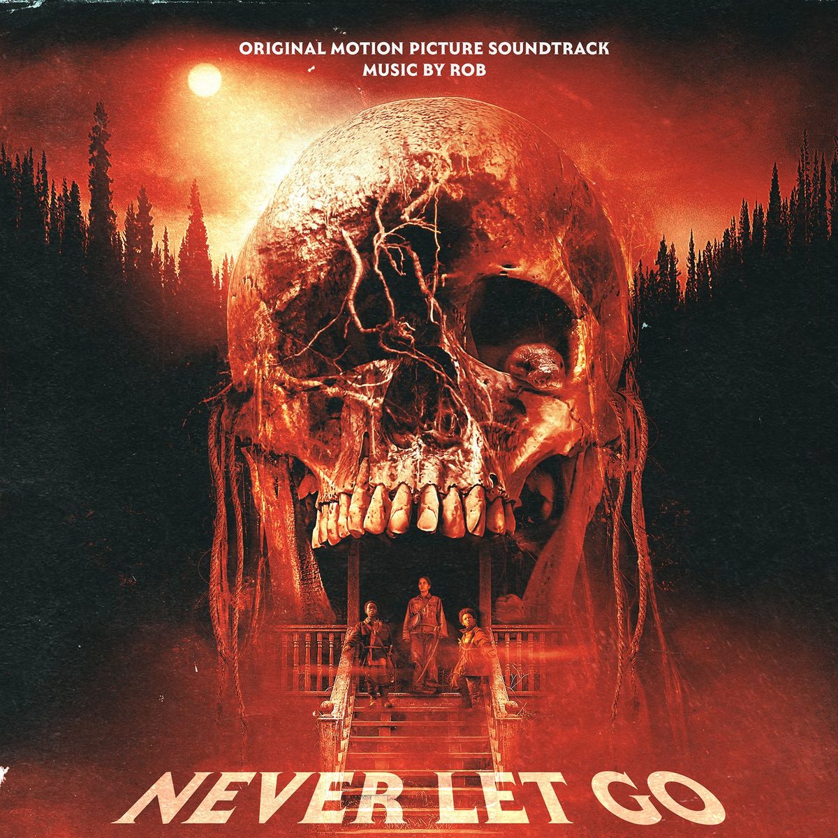 Виниловая пластинка Never Let Go — обложка