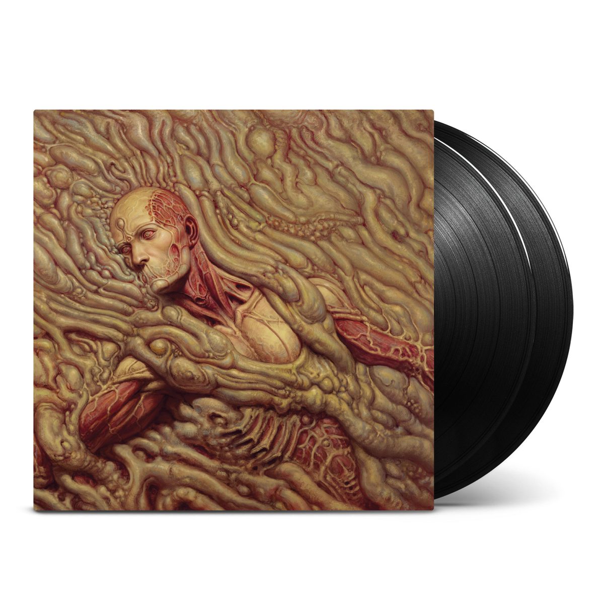 Виниловая пластинка Scorn (Deluxe Double Vinyl) — обложка