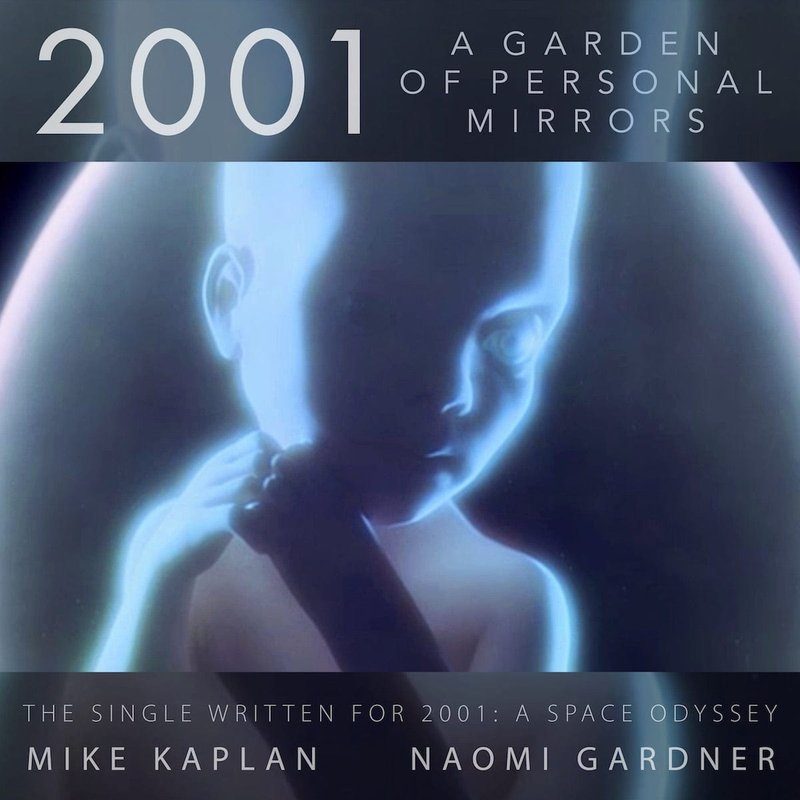 Виниловая пластинка 2001: A Garden of Personal Mirrors 7-inch — обложка