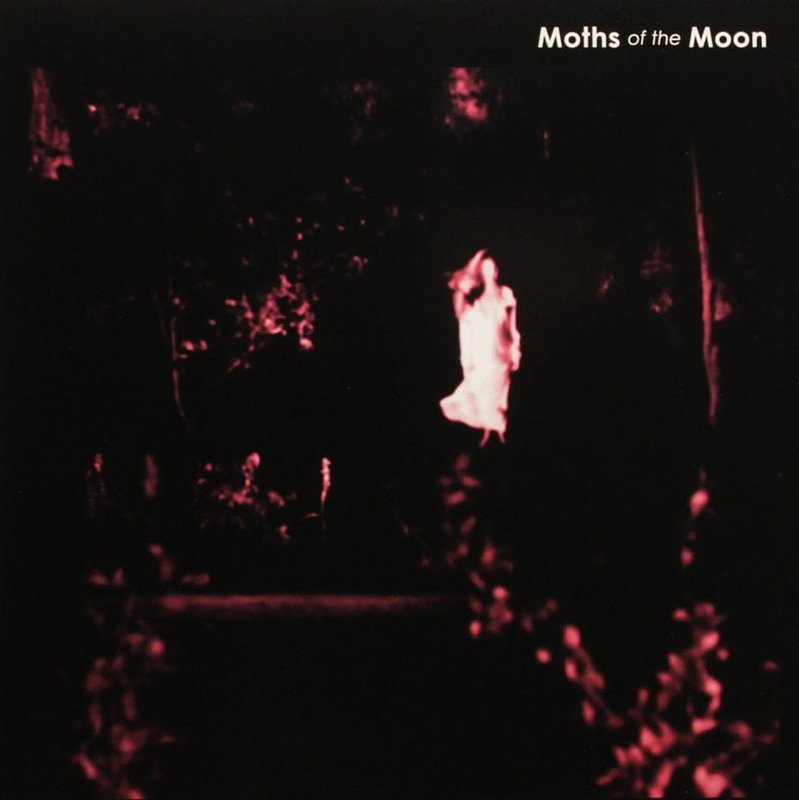 Виниловая пластинка Another Place by Moths of the Moon 10 — обложка