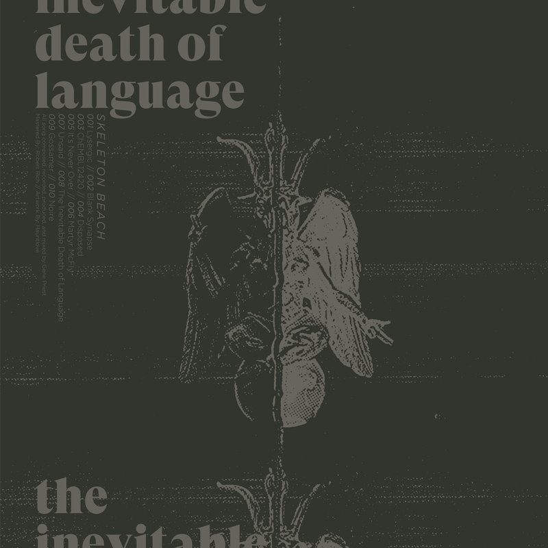 Виниловая пластинка The Inevitable Death of Language by Skeleton Beach — обложка