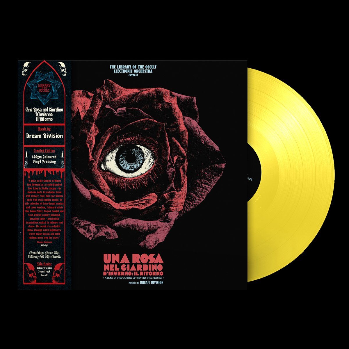 Виниловая пластинка Una Rosa nel Giardino d'Inverno LP by Dream Division — обложка