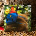 Banjo and Kazooie Vinyl Soundtrack 2xLP Reissue — фото 3