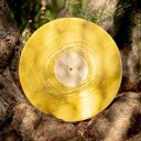 Banjo and Kazooie Vinyl Soundtrack 2xLP Reissue — фото 4