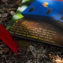 Banjo and Kazooie Vinyl Soundtrack 2xLP Reissue — фото 5