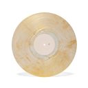 Banjo and Kazooie Vinyl Soundtrack 2xLP Reissue — фото 9