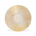 Banjo and Kazooie Vinyl Soundtrack 2xLP Reissue — фото 10