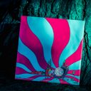 Gravity Falls Vinyl Soundtrack — фото 4