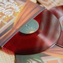 Simpler Times 2xLP — фото 4