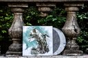 The Last Guardian Vinyl Soundtrack 2xLP — фото 5
