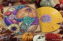 Stardew Valley (Complete Vinyl Soundtrack Box Set) — фото 10