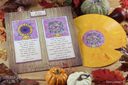 Stardew Valley (Complete Vinyl Soundtrack Box Set) — фото 12