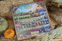Stardew Valley (Complete Vinyl Soundtrack Box Set) — фото 3