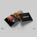 UNDERTALE Piano Collections (4xLP Box Set) — фото 3