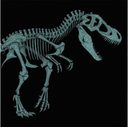 Jurassic Park Original Motion Picture Soundtrack (20th Anniversary - Version B) — фото 1