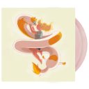 Adventure Time: Fionna and Cake Soundtrack from the Animated Series 2xLP — фото 1