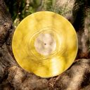 Banjo and Kazooie Vinyl Soundtrack 2xLP Reissue — фото 4