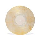 Banjo and Kazooie Vinyl Soundtrack 2xLP Reissue — фото 10