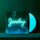 Junebug: Too Late To Love You 1xLP — фото 9