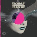 Strobes In Space (Indie Sleaze, Nu Rave & Future Disco 2000-2009) 3XLP — фото 2