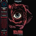 Una Rosa nel Giardino d'Inverno LP by Dream Division — фото 2