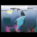 Footloose — Original Motion Picture Soundtrack — 1LP Picture Disc, печатный конверт с вырубкой — фото 2