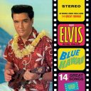 Blue Hawaii — Blue Vinyl — фото 1