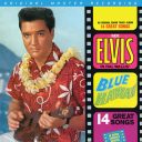 Blue Hawaii — Black Vinyl — фото 1