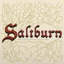 Saltburn — Gold Vinyl — фото 1