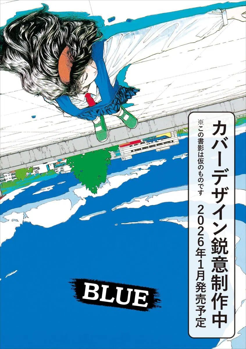 Blue Yamamoto Naoki Vintage Collection