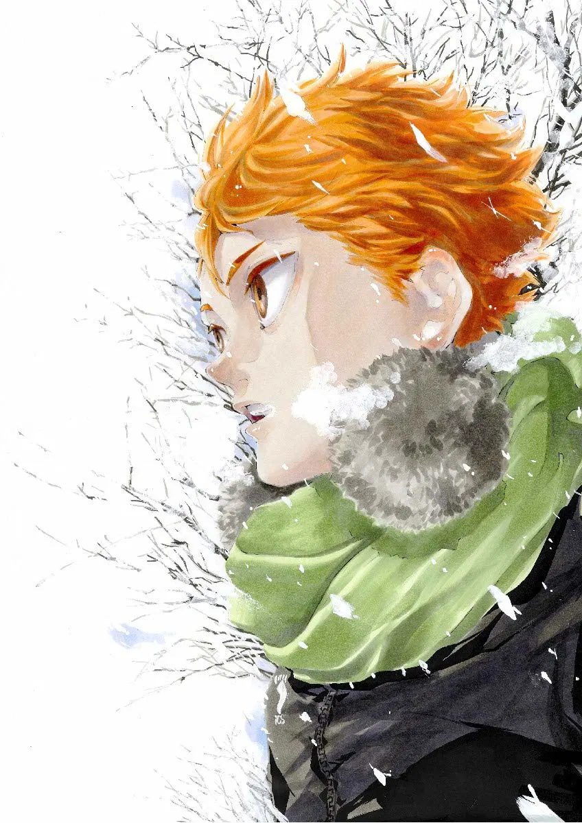 Haikyu!! Complete Illustration Book End And Beginning