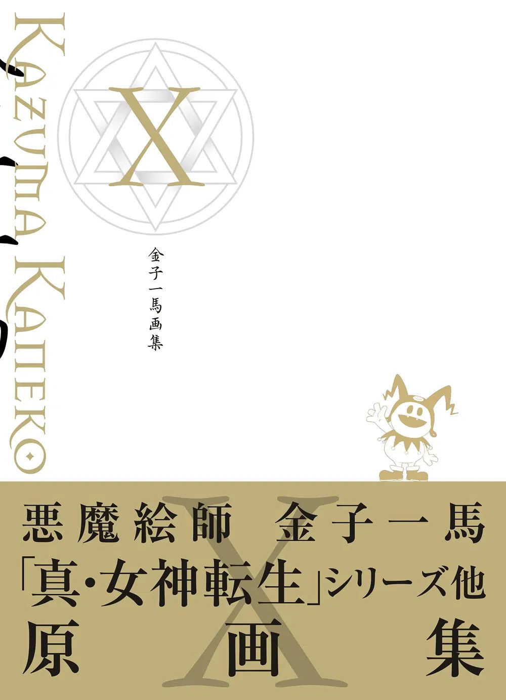 Kazuma Kaneko Works X (Hardcover)