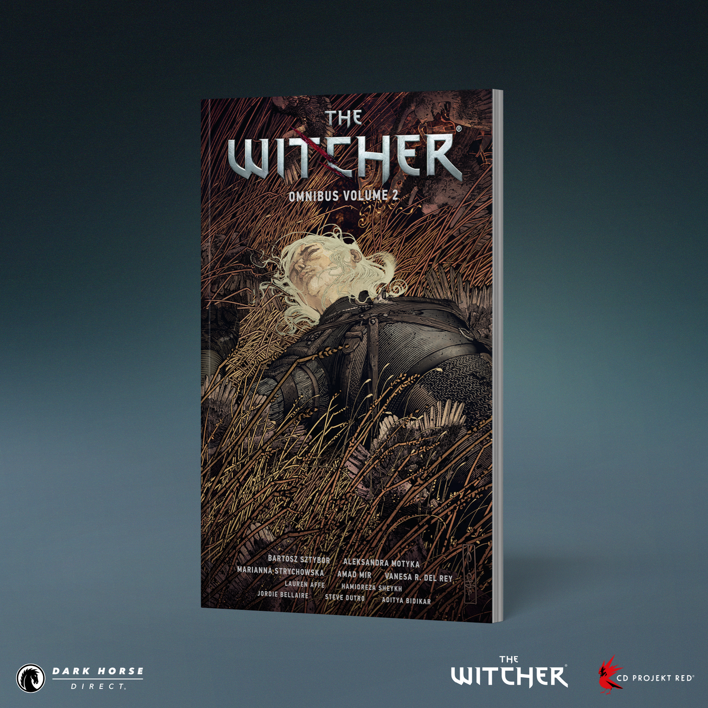 The Witcher Omnibus Volume 2