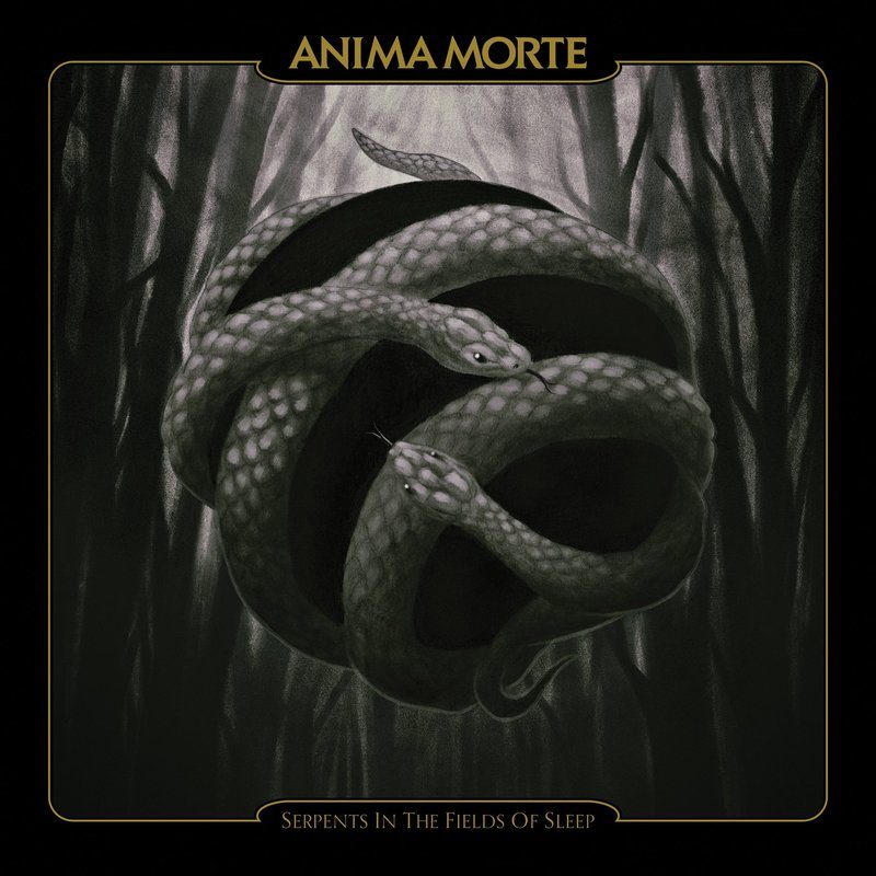 Виниловая пластинка Serpents in the Fields of Sleep — обложка