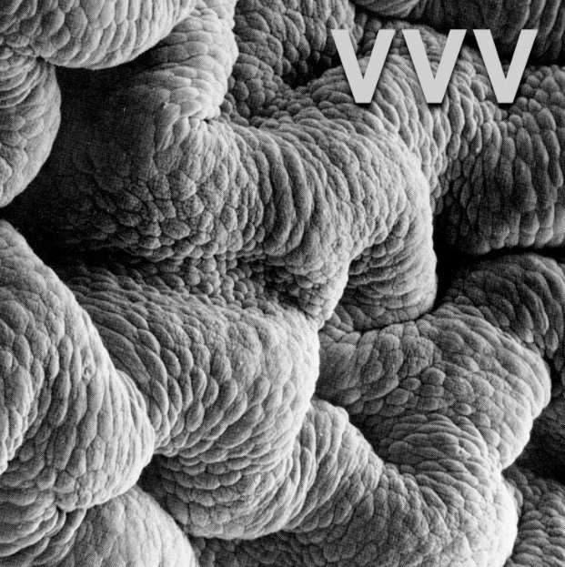 Виниловая пластинка Shadow World by VVV — обложка