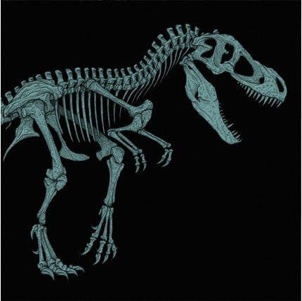 Виниловая пластинка Jurassic Park Original Motion Picture Soundtrack (20th Anniversary - Version B) — обложка