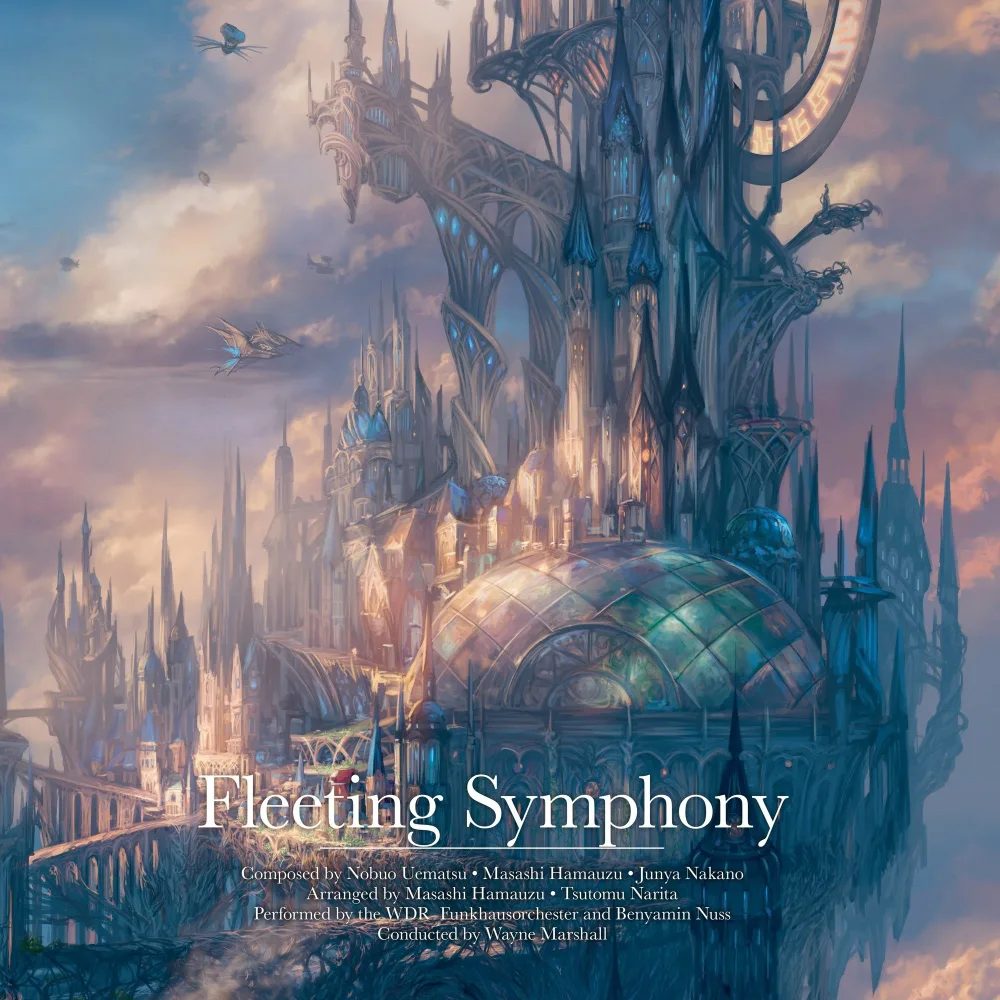 Виниловая пластинка Fleeting Symphony — обложка