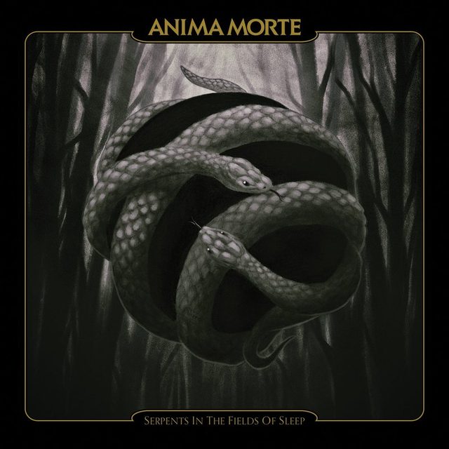 Виниловая пластинка Serpents in the Fields of Sleep — обложка