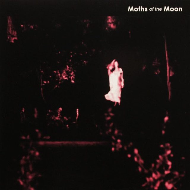 Виниловая пластинка Another Place by Moths of the Moon 10 — обложка