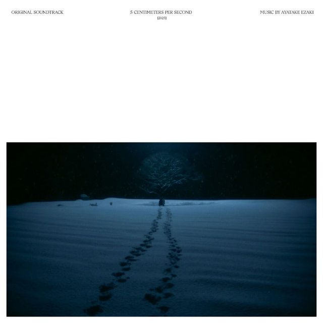 Виниловая пластинка 5 Centimeters Per Second Live-Action Movie Original Soundtrack [Limited Edition] — обложка