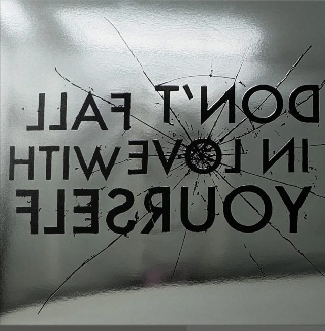 Виниловая пластинка Don't Fall in Love With Yourself — Silver Vinyl — обложка